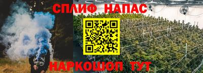 прущие грибы Аша