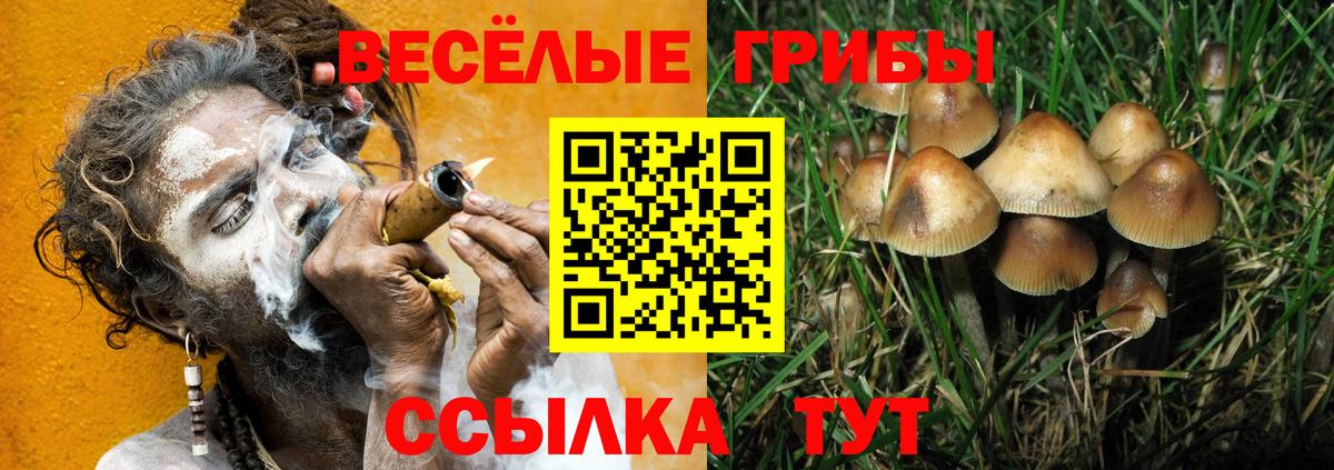 Кохма  Галлюциногенные грибы прущие грибы  Псилоцибиновые грибы Psilocybine cubensis  Вход с VPN 
